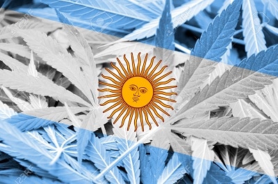 Marijuana in Argentina