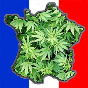 La marihuana en Francia