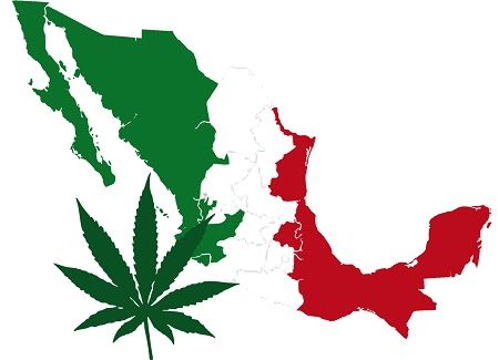 Le cannabis au Mexique