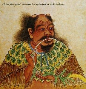 El emperador Shen Nung, alrededor del año 2.700 Antes de Cristo, ya conocía los usos medicinales de esta planta