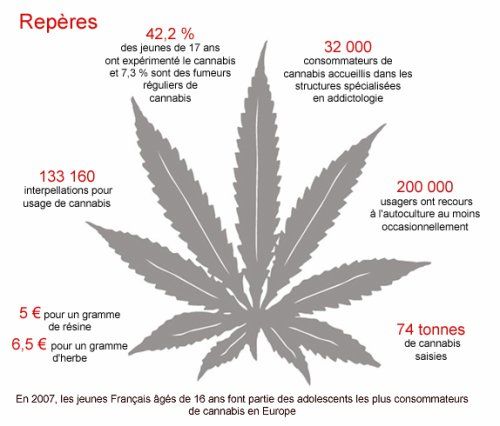 Legislation cannabis in France