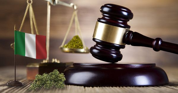 La pena por venta de cannabis oscila entre los 2 y los 6 años de prisión