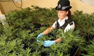 Possession of soft and hard drugs are illegal in the UK