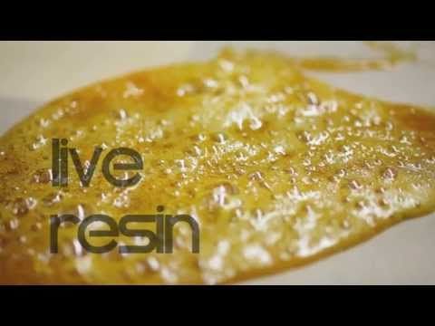 Live Resin, cannabinoid extractions