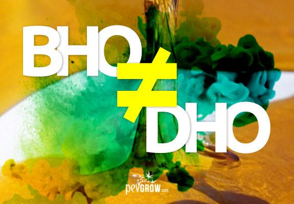 Differences between BHO and DHO