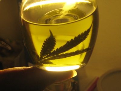 Olio di canapa, un elisir di cannabis dalle molteplici proprietà e benefici