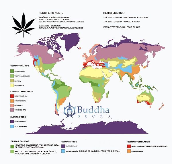 La latitud es clave para el cultivo