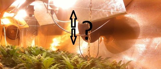 Distancia adecuada del foco a las plantas de marihuana