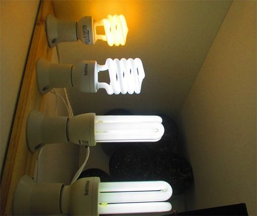 There are many types of lighting.