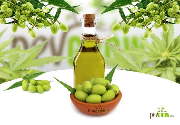 Aceite Natural de Neem