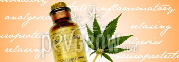 Cannabis oil has many properties for health.