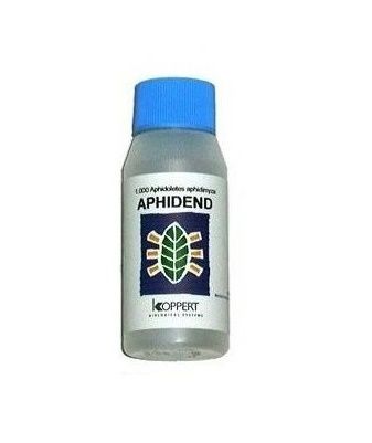 Aphidend 2000 - Aphidoletes aphidimyza (contra pulgon)