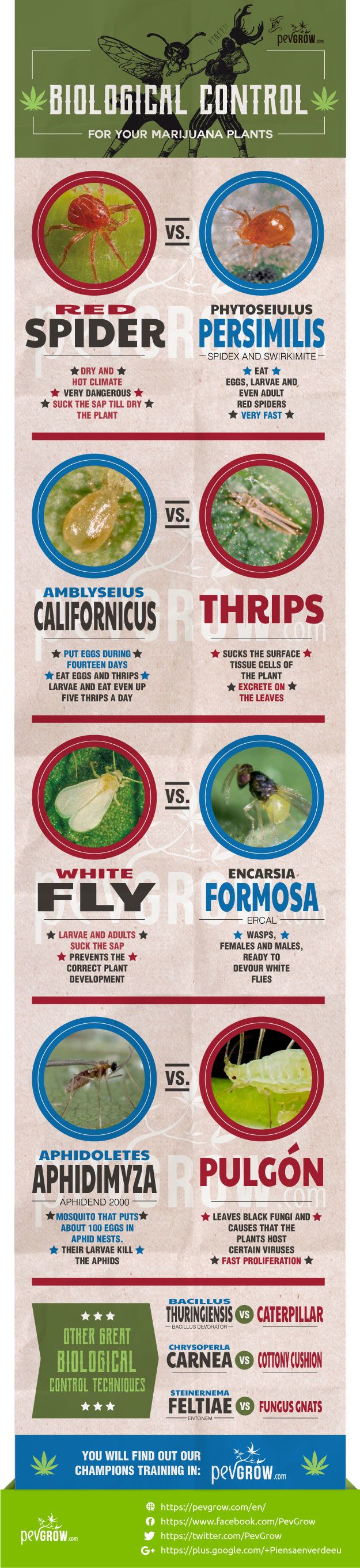 Infographic about the biological control techniques
