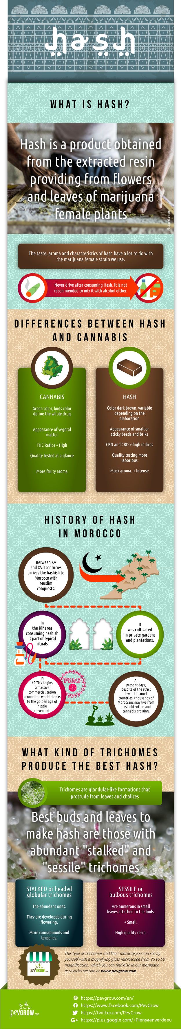 Infographic about hashish