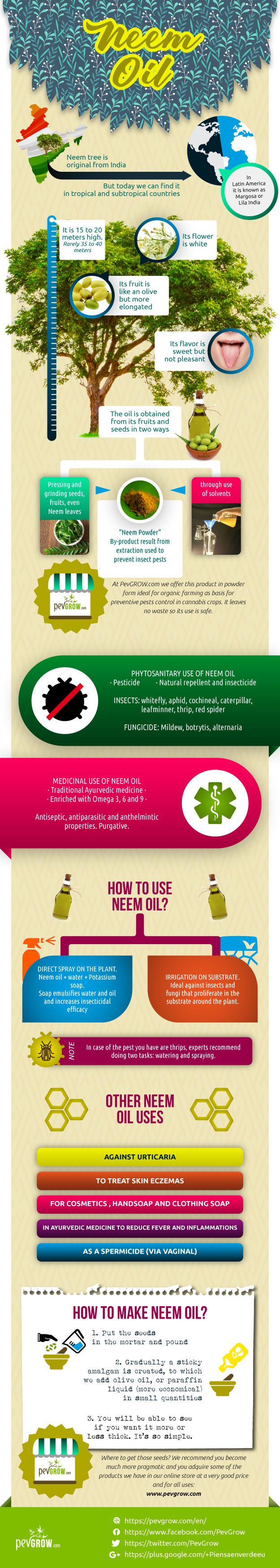 Infographic about Oil Neem