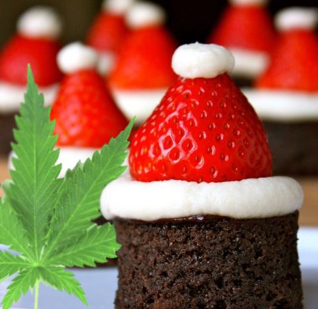 Wie Man Cannabis Brownies In Nur 5 Minuten Zubereitet