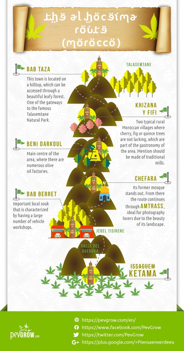 Infographics about The Al Hoceima Road