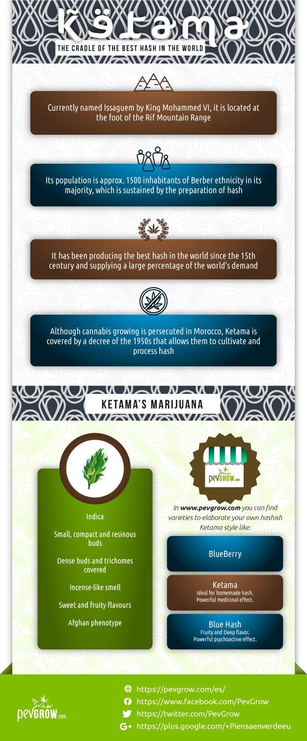 Ketama Marijuana Infographics