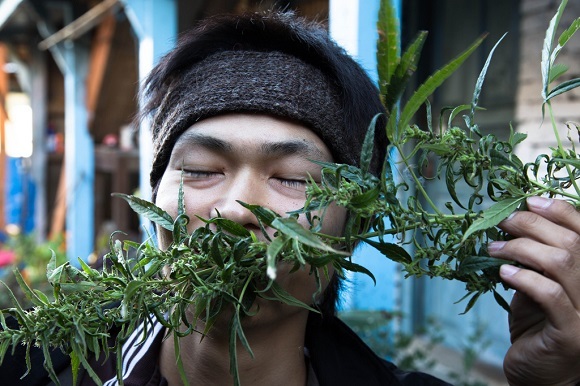 Nepal: Hier ist eine kleine Menge Cannabis für den eigenen Konsum erlaubt.