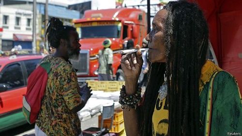 Jamaica: The Cradle of Marijuana