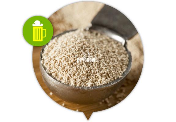 Brewer's yeast, rich in minerals, amino acids and proteins