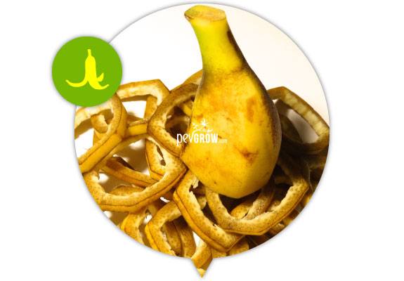 Banana tea provides amino acids assimilated by the plant