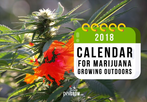 Calendar 2018 For The Outdoor Growing In Europe