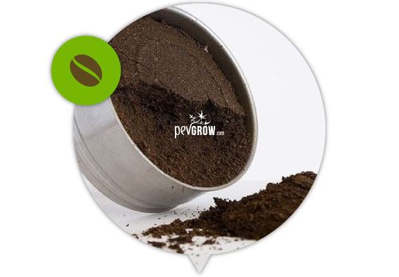 Coffee grounds, excellent fertilizer for the growth phase.