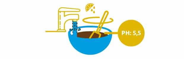 Cubrimos con agua y unas gotas de zumo de limón Cubrimos con agua y unas gotas de zumo de limón