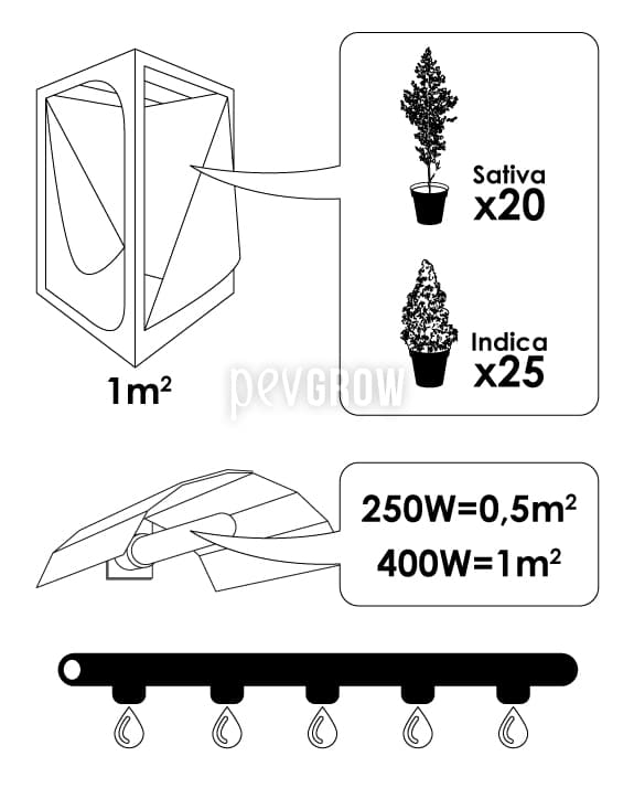 Preparare il SOG per il tuo Grow Space