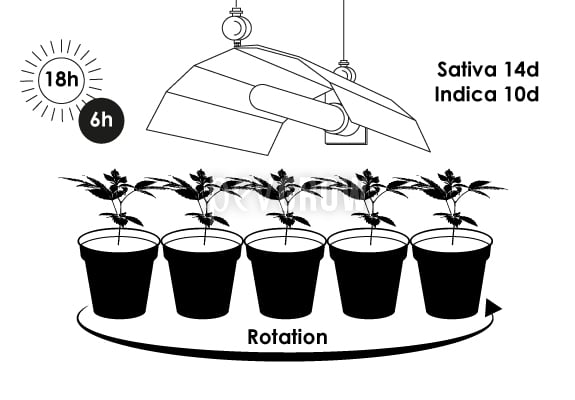 Controlling growth