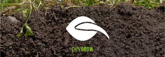 The most commonly used method of germinating is soil.
