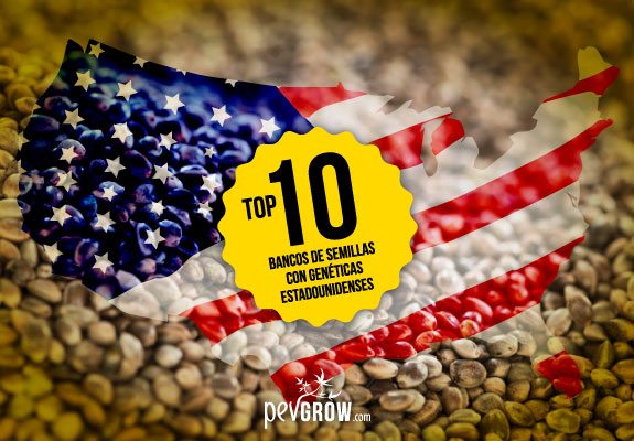 Los 10 mejores bancos de semillas con genéticas estadounidenses