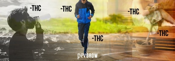 To quickly eliminate THC levels from your body, you need to take care of yourself.