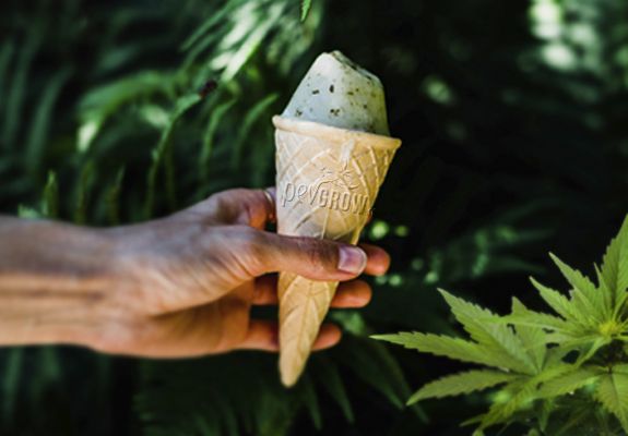 Cannabis-Eis selber machen