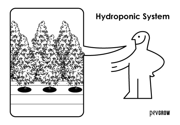 Make your own homemade hydroponic system