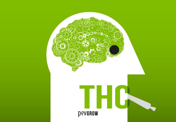 Different effects THC has on your body