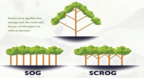 Méthode SOG y SGROG