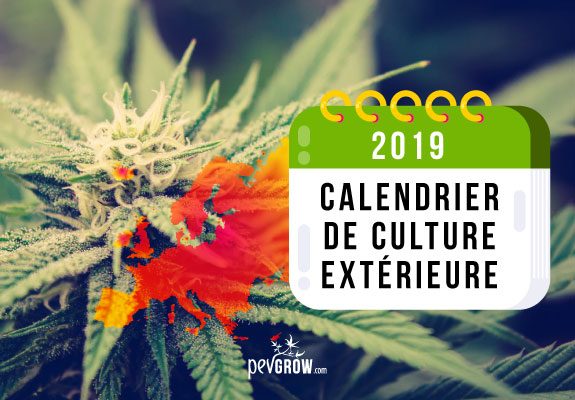 Calendrier 2019 Culture extérieure Europe du Nord/du Sud