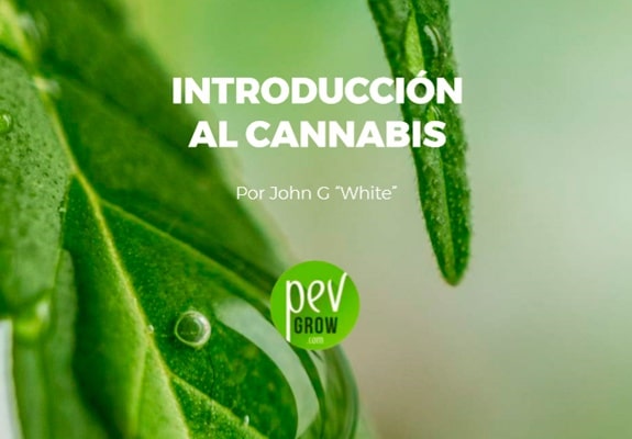 Guía Básica sobre la Marihuana