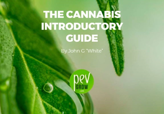 The Cannabis introductory guide