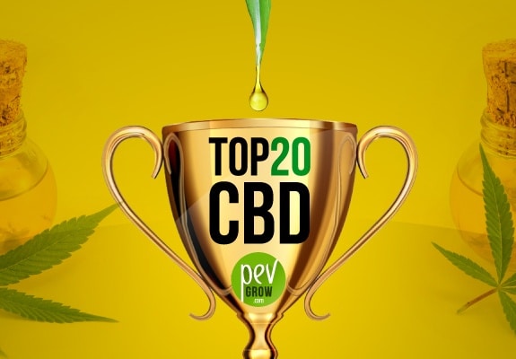 Mejores variedades de marihuana medicinal con CBD alto