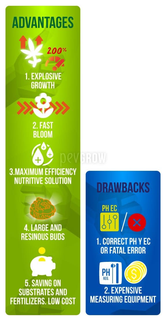 Aeroponic cultivation system: advantages and disadvantages