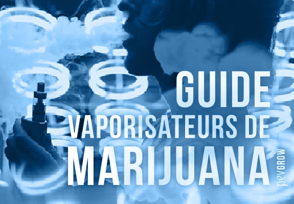 Guide et meilleurs vaporisateurs de cannabis 2021