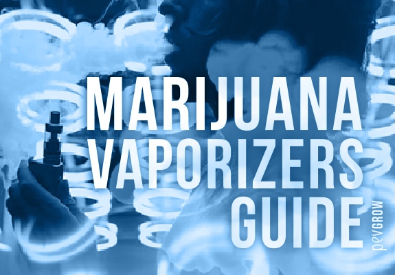 Guide and best marijuana vaporizers 2021
