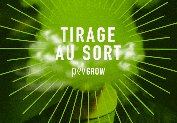 Tirage au sort de 20 graines de cannabis ou d'un coupon de 50€ à dépenser chez Pevgrow Tirage au sort de 20 graines de cannabis ou d'un coupon de 50€ à dépenser chez Pevgrow