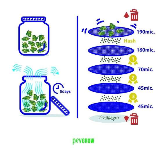 Summary of how to extract THC from dried flowers, is a simple method