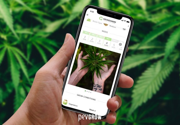 A Growdiaries user shows the status of cannabis plants in their tracking