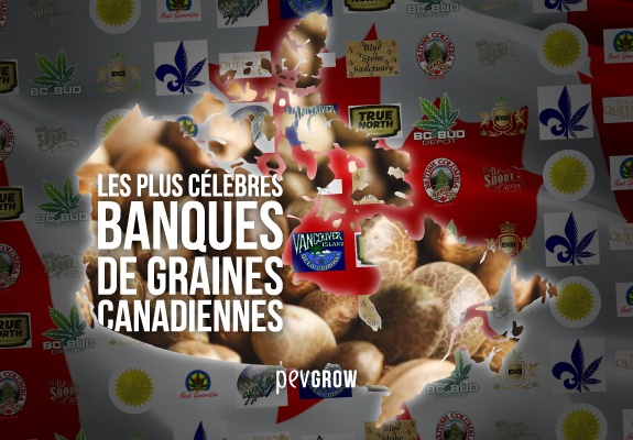 Carte du Canada entourée des logos des banques de graines.