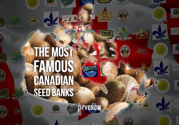 The most famous Canadian seed banks